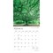 BrownTrout; The Majesty of Trees | 2027 12 x 24 Inch (Hanging) Monthly Square Wall Calendar | Plastic-Free; Category:Wall Calendars; Image:4